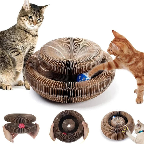 Magic Cat Toy